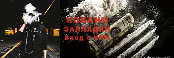 дживик Аркадак