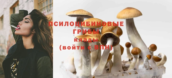 дживик Аркадак