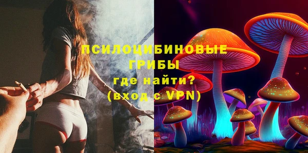 дживик Аркадак