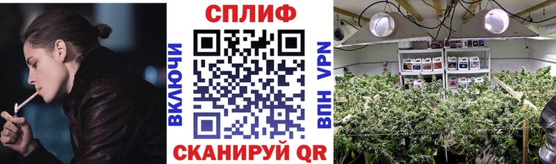 Канабис THC 21% Бирюч